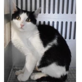 愛護団体様が引き出して下さいました。