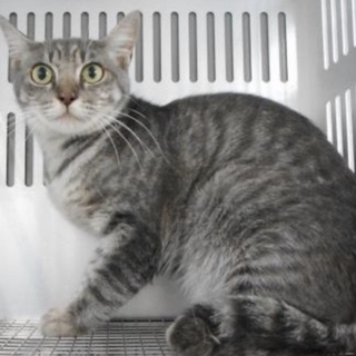 愛護団体様が引き出して下さいました。