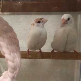 ご応募ありがとうございました。