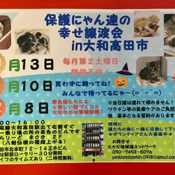 保護にゃん達の幸せ譲渡会In大和高田市