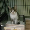 処分間近 可愛いサバシロくん 動画あり サムネイル2