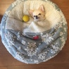 キヨサワ
