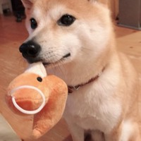 まるこ