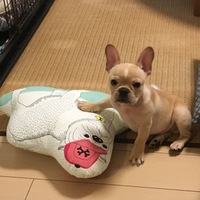 ホク
