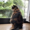 1738あい