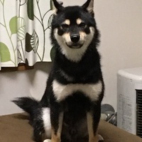 てつ