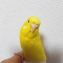 ありがとうございました！