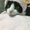 長女のごまちゃん♡
