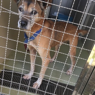 ☆見た目は強面性格穏やかなかつみ君☆