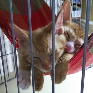 君といつまでも♪♪