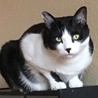 の写真