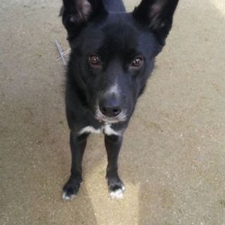 仮名　眉毛の「ゆげ」くん