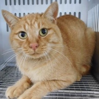 愛護団体様が引き出して下さいました。