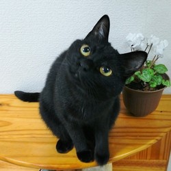 「２歳になりました」サムネイル1