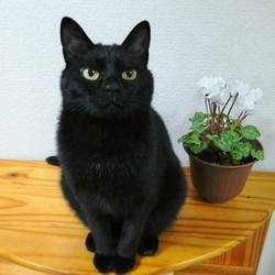 「２歳になりました」サムネイル2