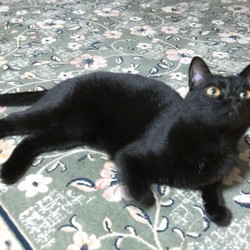 「２歳になりました」サムネイル3