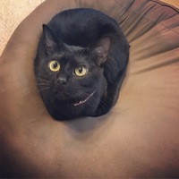 たけのこ