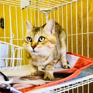 水をかけられていたモーくん