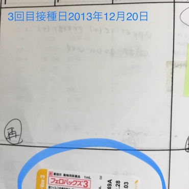 ワクチン3回目の記録です