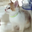 生後5日程の頃、倉庫に1匹でいた豆太くん