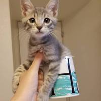 ムー