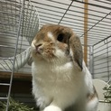 ありがとうございました！
