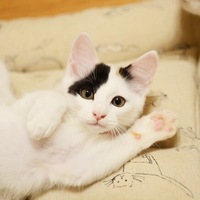 つむぎ