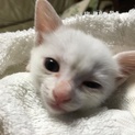 決まりました！ありがとうございました！