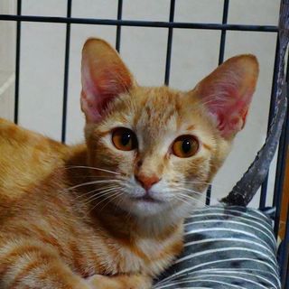 ★元気な甘えん坊のゆうちゃん★