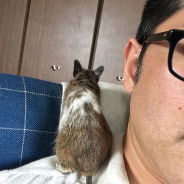 の写真