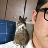 の写真
