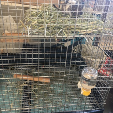 の写真