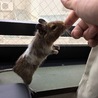 の写真