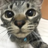 たけじ