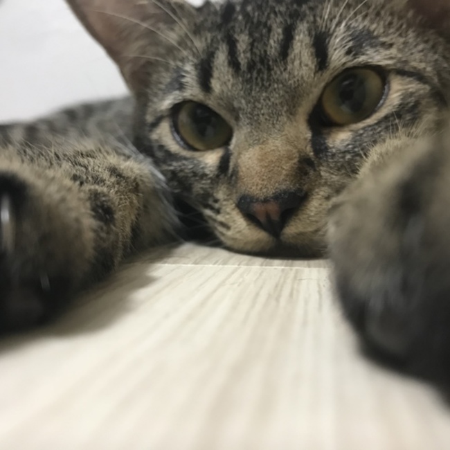 たけじのカバー写真