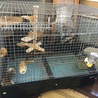 の写真