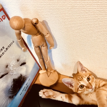 今日、家に来てから始めて爪を切りました！