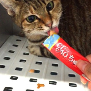 里親様が決まりました♡有難うございました！