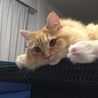 はるしゃん555