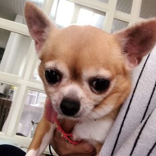 「つゆ」人懐っこい！