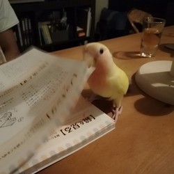 「nostalgic84」サムネイル2