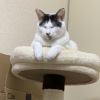 ぬんたん