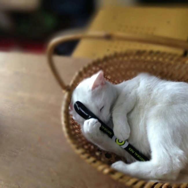 jun.jun616のカバー写真