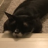 なおこ61