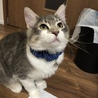 むぎママパパ