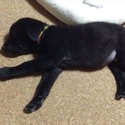 「「君の名は。」」サムネイル2