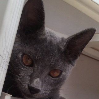 結婚しました！沢山のご応募ありがとうございました。