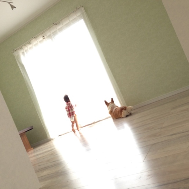 ★nijyu★のカバー写真