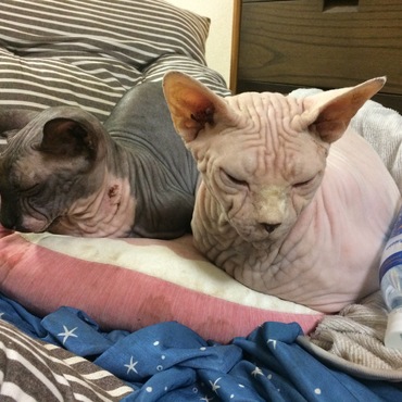 仲良くしております。