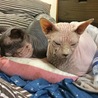 仲良くしております。